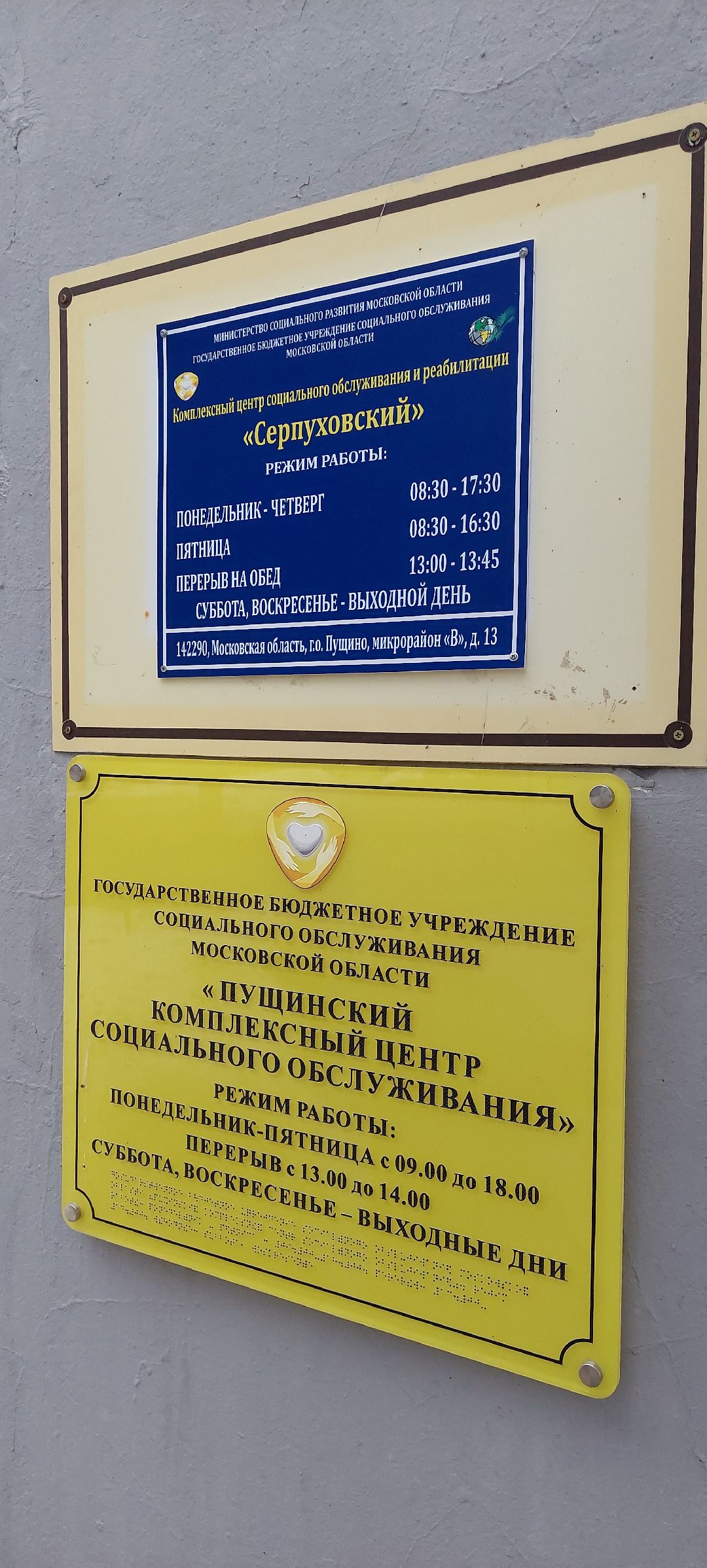 Пущино Общество