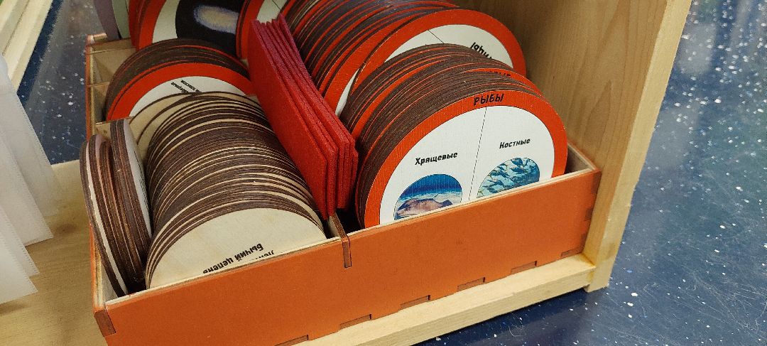 Пущино Образование