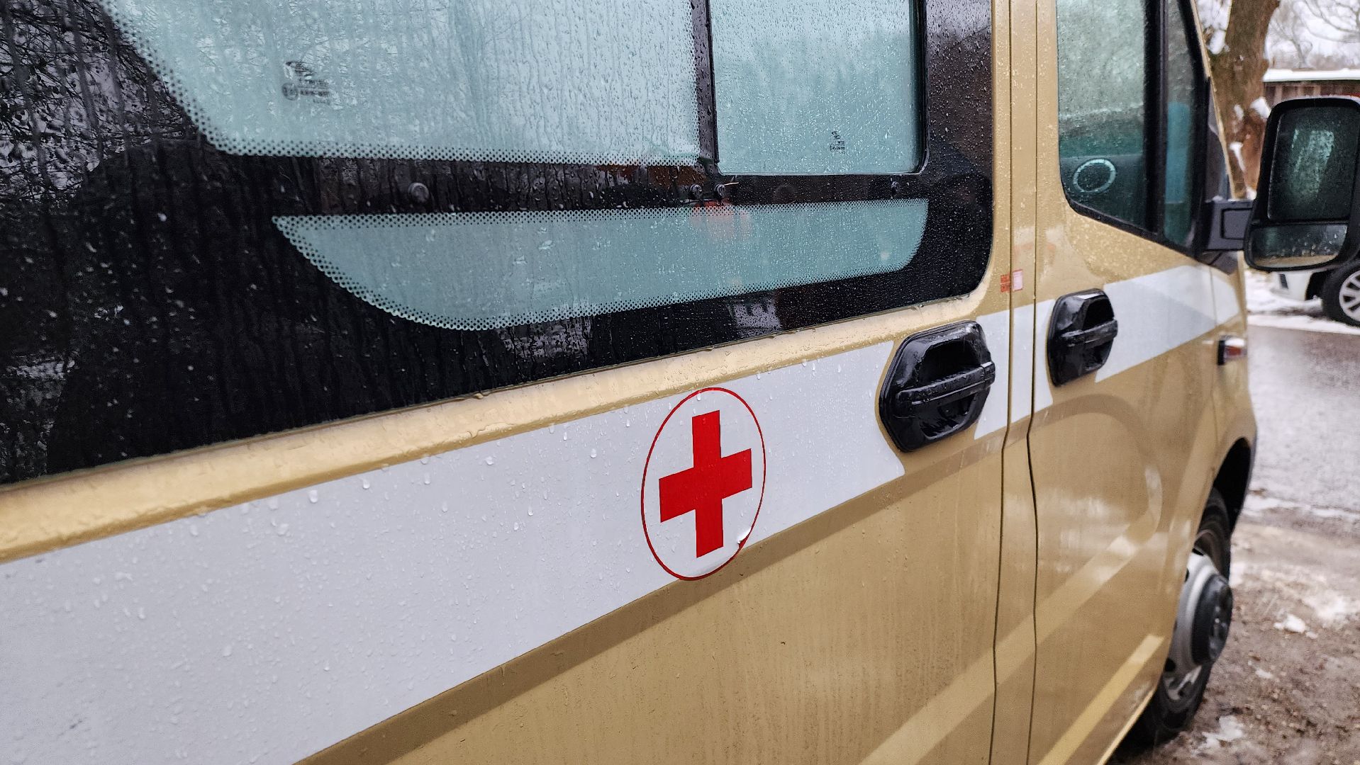 подольск, вакцинация, диспансеризация,