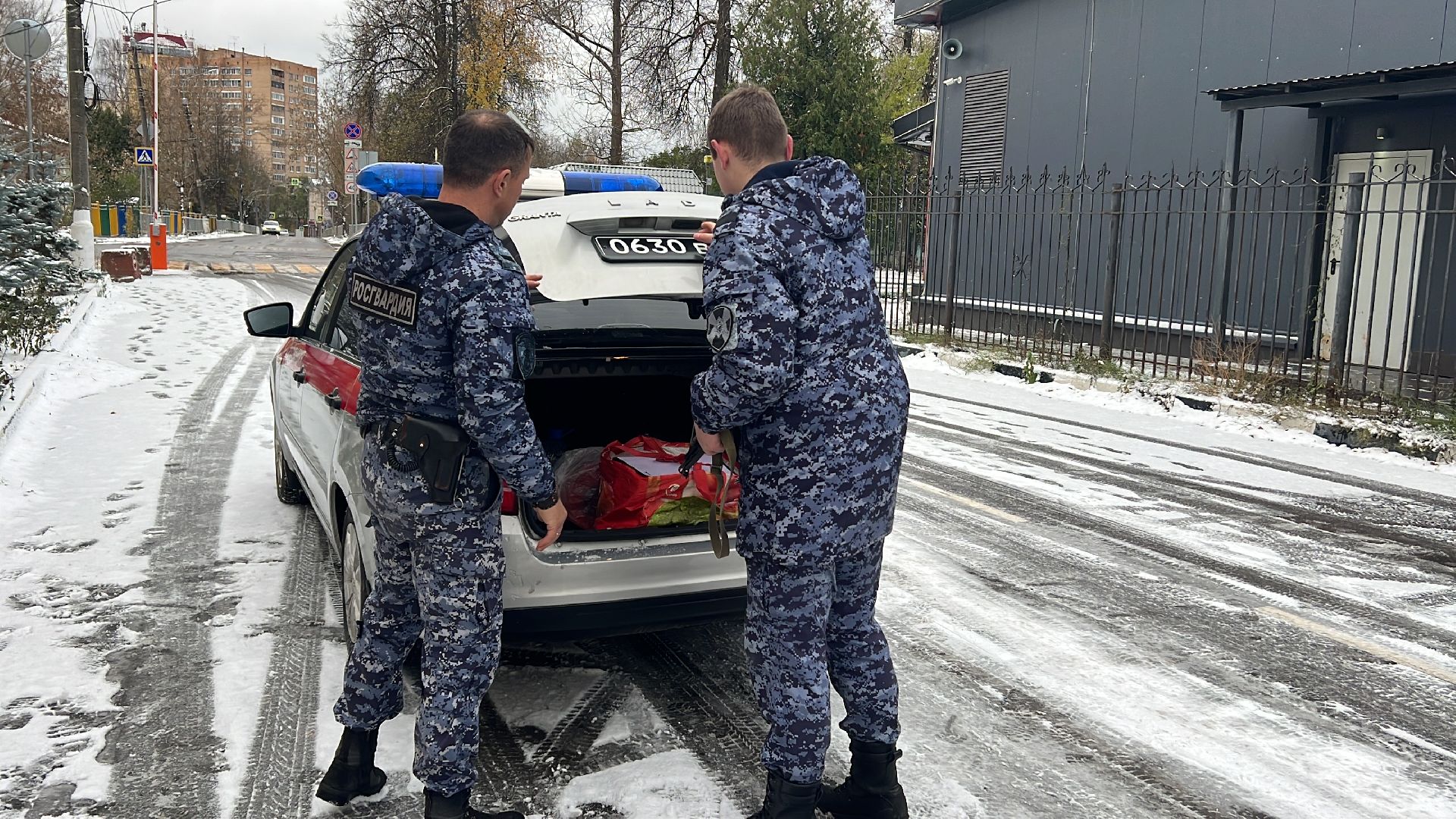 Солнечногорск, вневедомственная охрана, праздник, росгвардия, Охрана,