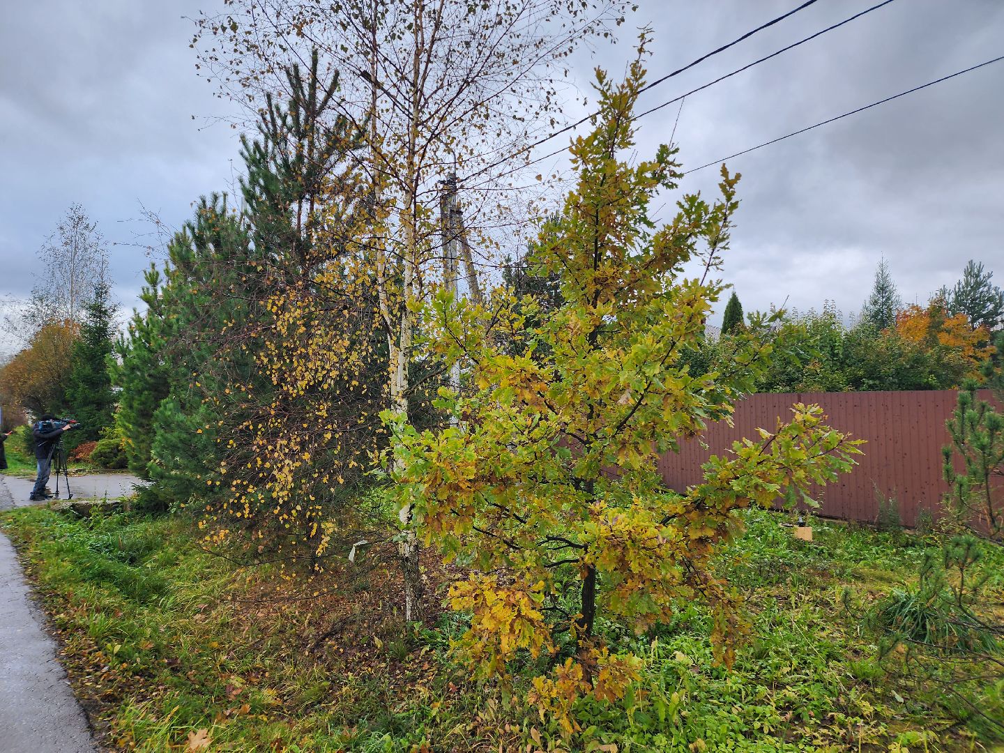 убийство, соседи,