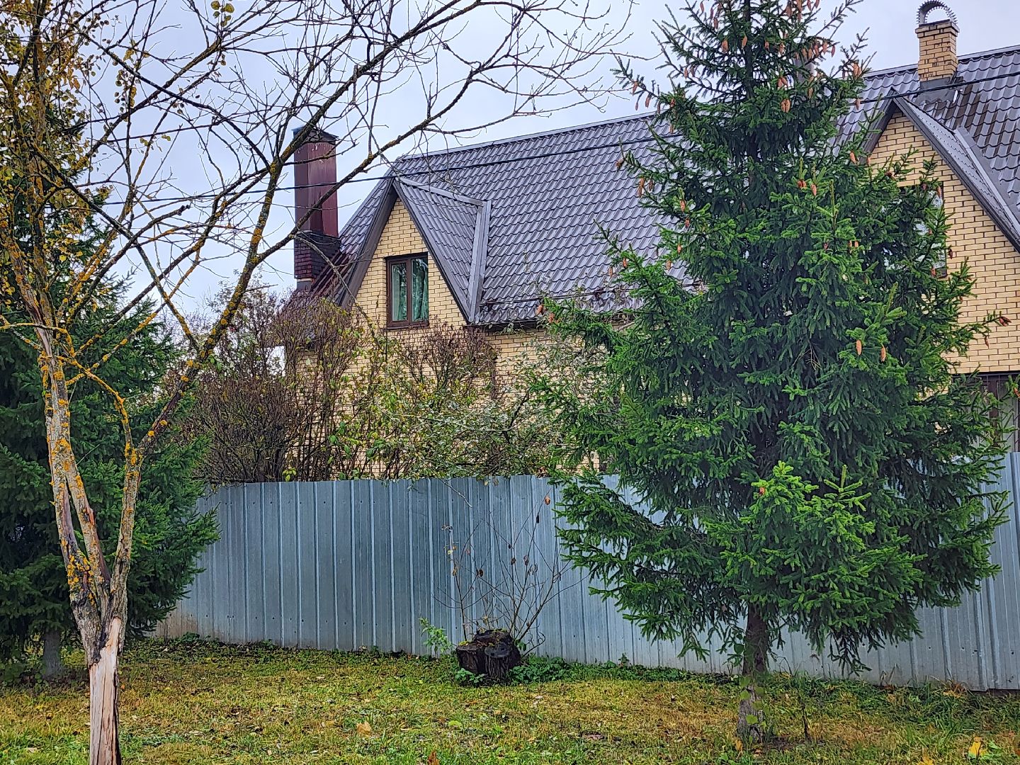 убийство, соседи,