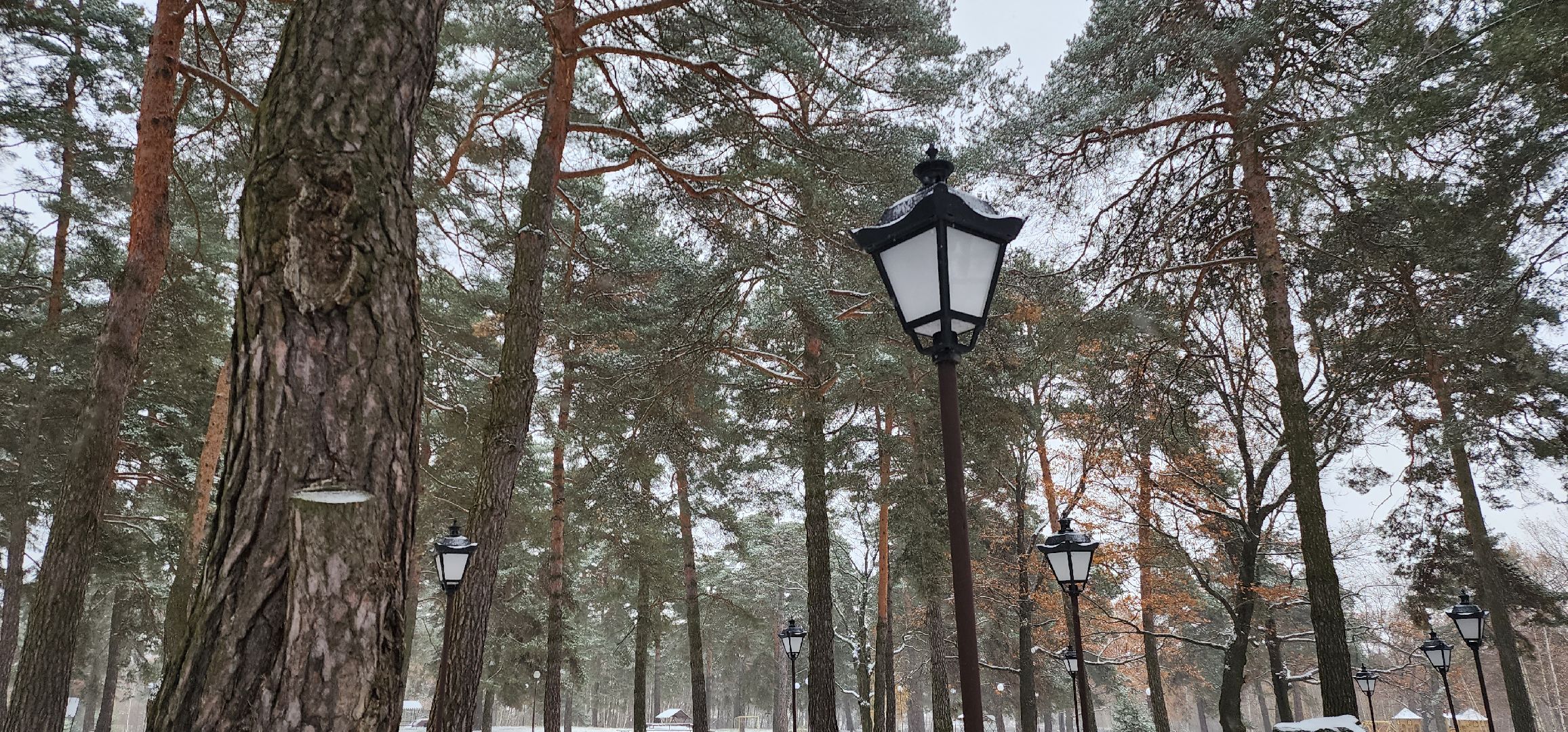 Коломна, Озеры, безопасный регион, парк, общественное обсуждение,