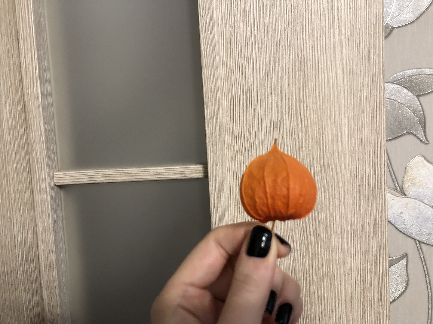 Еда, Химки, подмосковье,