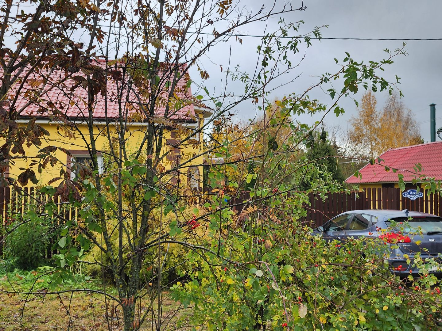 убийство, соседи,