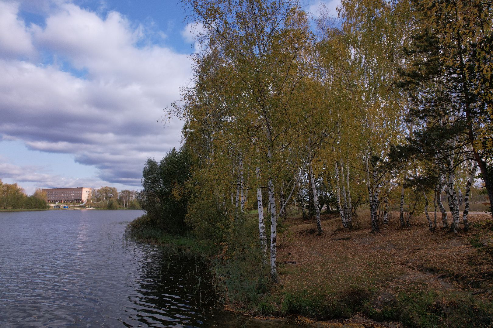 озеро, орехово-зуево, благоустройство,видео с коптера,