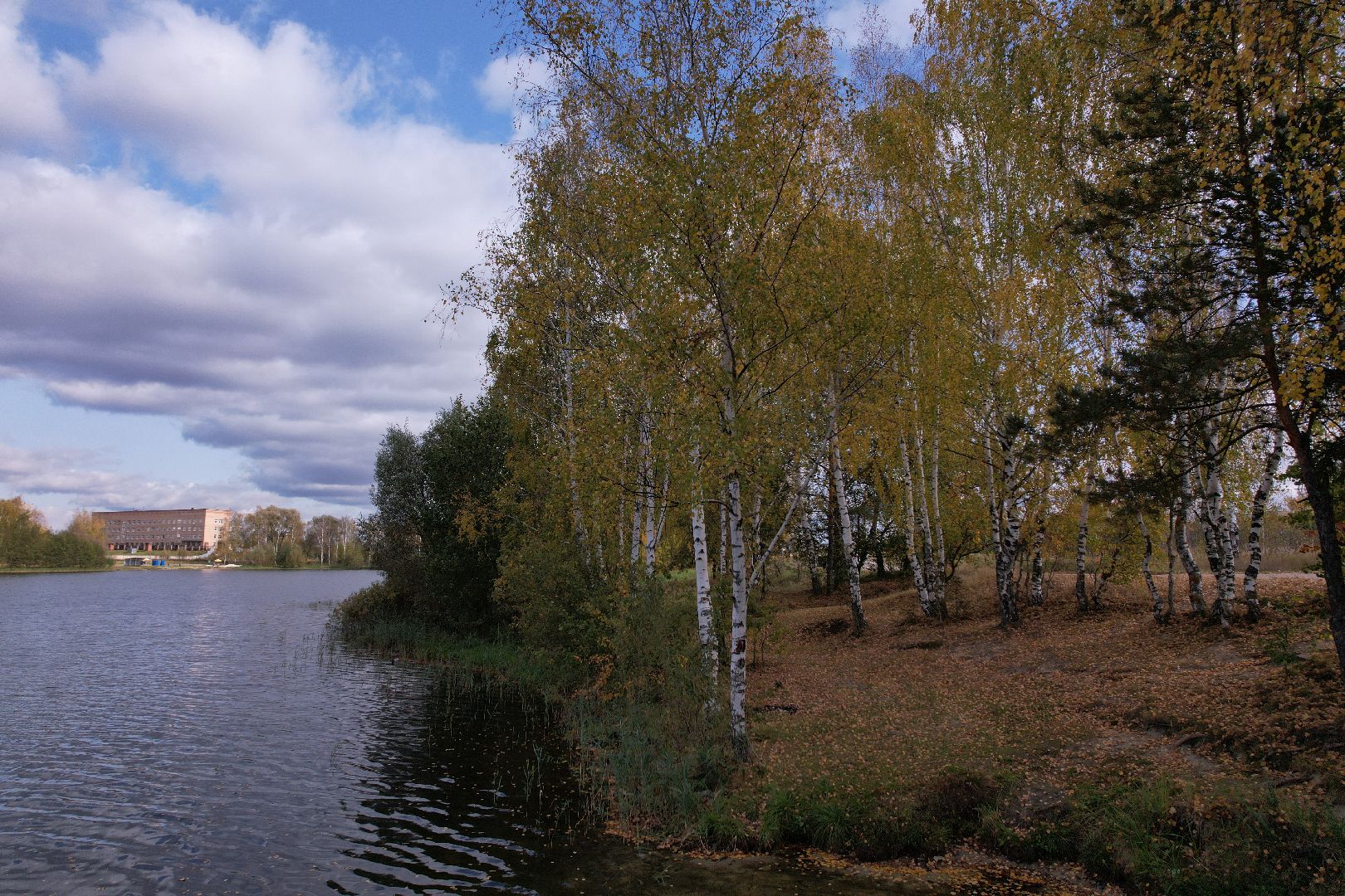 озеро, орехово-зуево, благоустройство,видео с коптера,