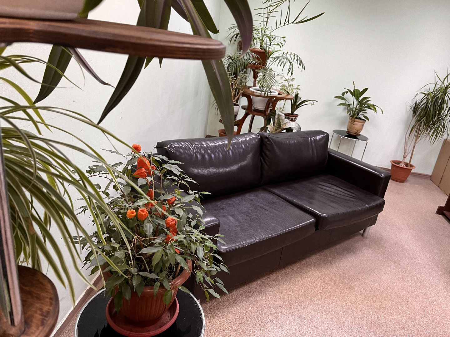 поликлиника перезагрузка, московская область, подмосковье, здравоохранение, здравоохранение подмосковья, руза, рузский городской округ,