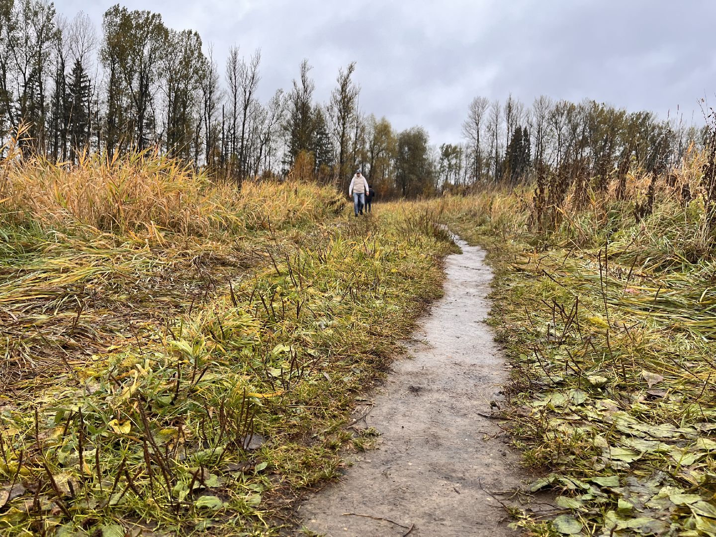 многодетная семья, руза, рузский городской округ, московская область, подмосковье, земельный участок, строительство,