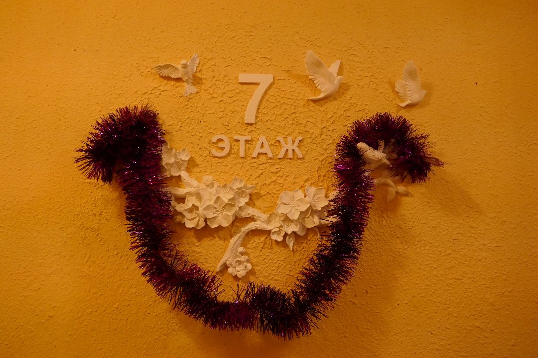 Подольск Общество