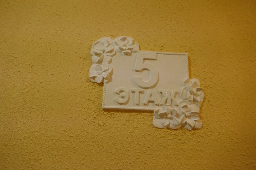 Подольск Общество