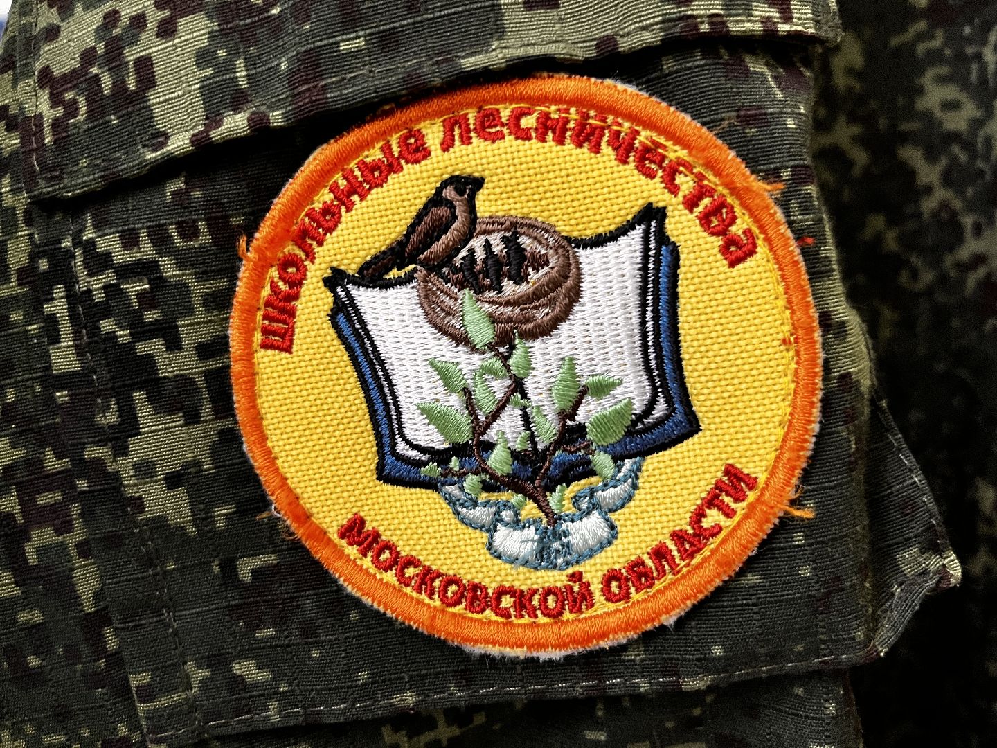 экология, школьное лесничество, руза, рузский городской округ, образование подмосковья, московская область, подмосковье,