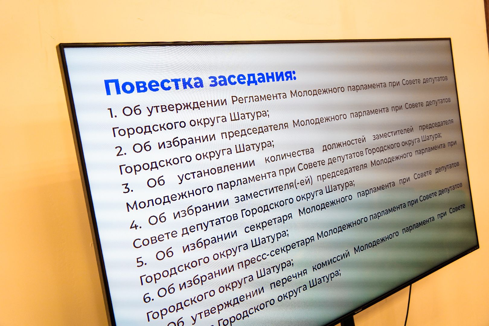 Большая Шатура, Молодежный парламент, совет депутатов, молдежь, активная молодежь,