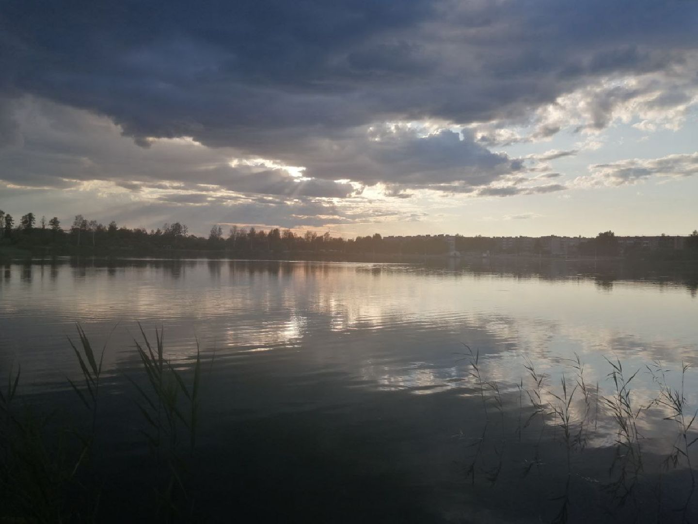 фотоконкурс, Рошаль, рошальский лицей, фотограф,