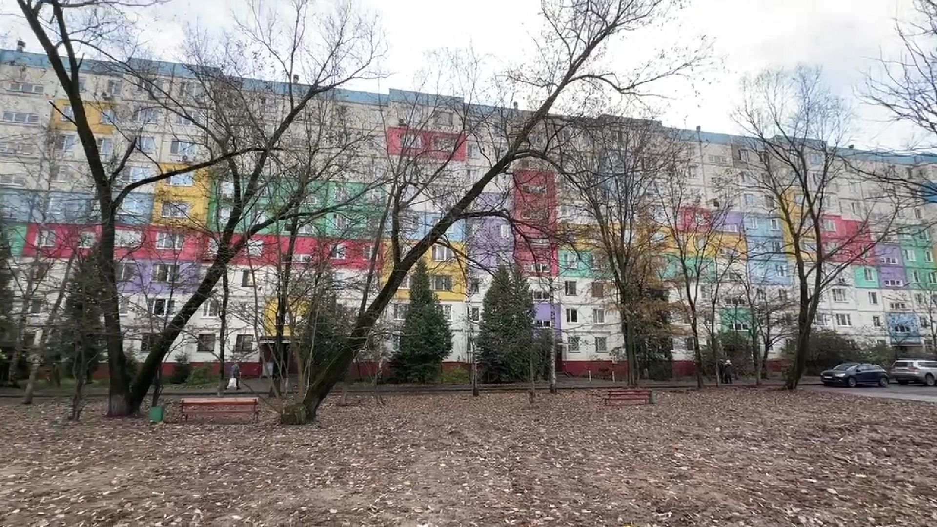 Реутов, деревья, опиловка, дендрологи,