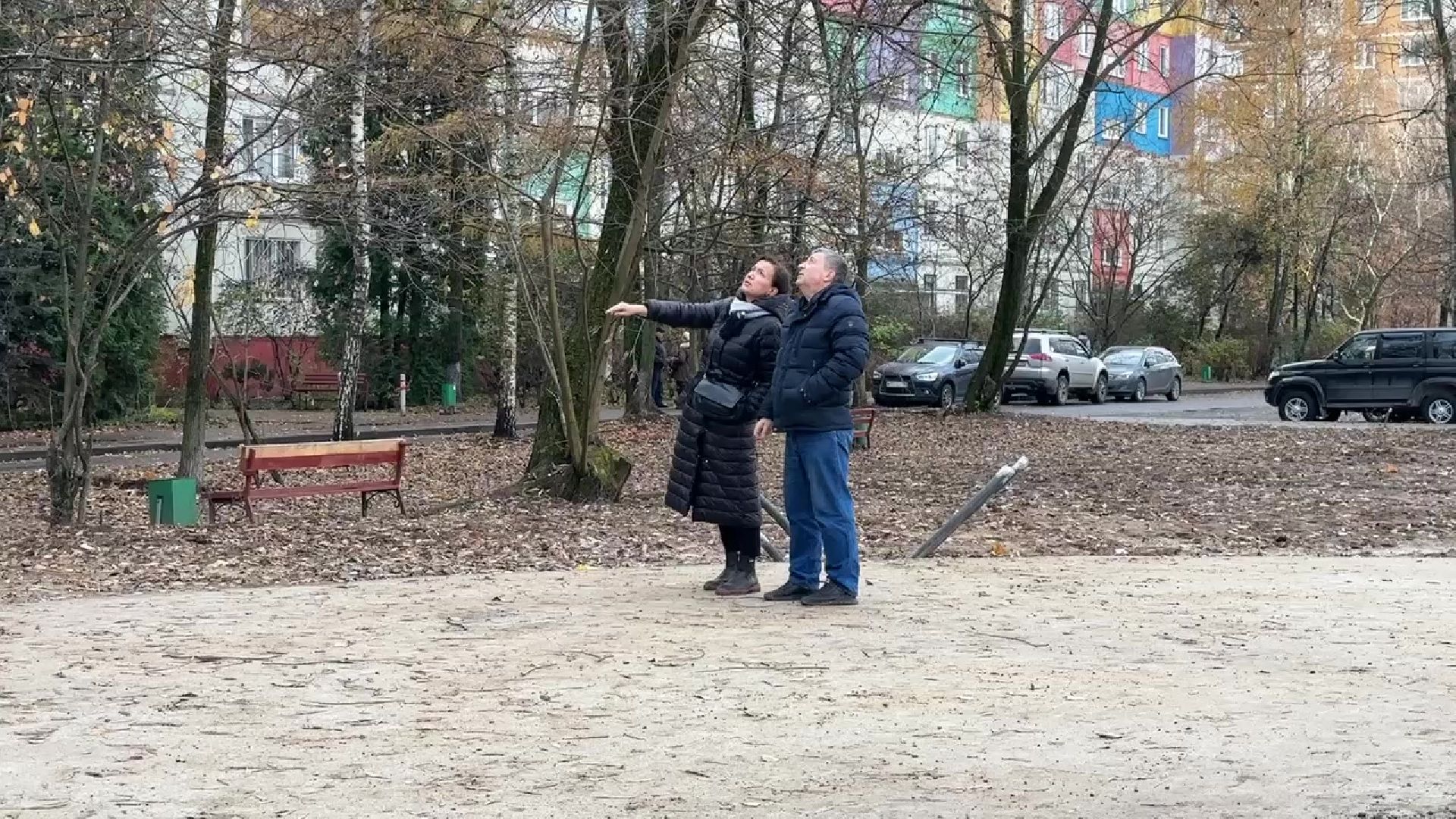 Реутов, деревья, опиловка, дендрологи,