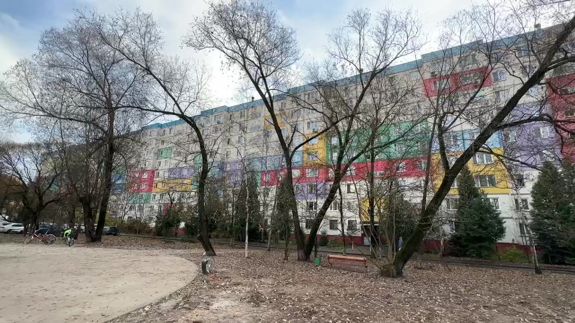 Реутов, деревья, опиловка, дендрологи,