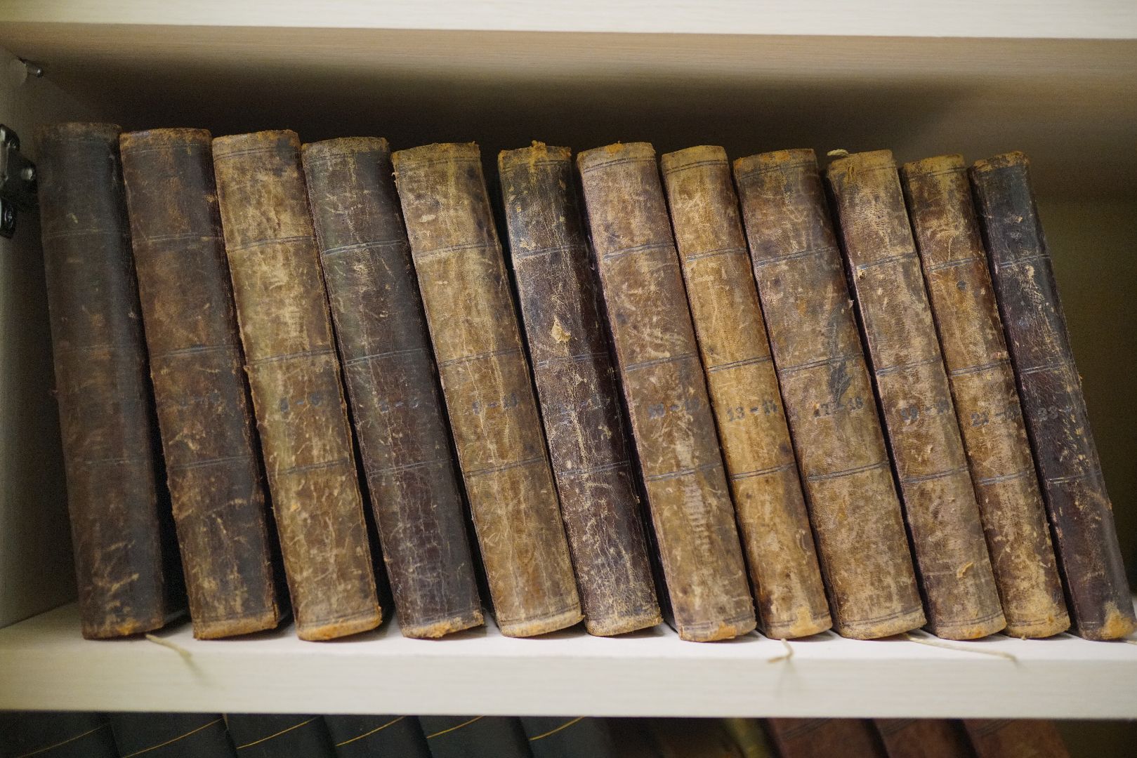 Толстой, Сытин, Никитин, книги, собрание сочинений, библиотека,