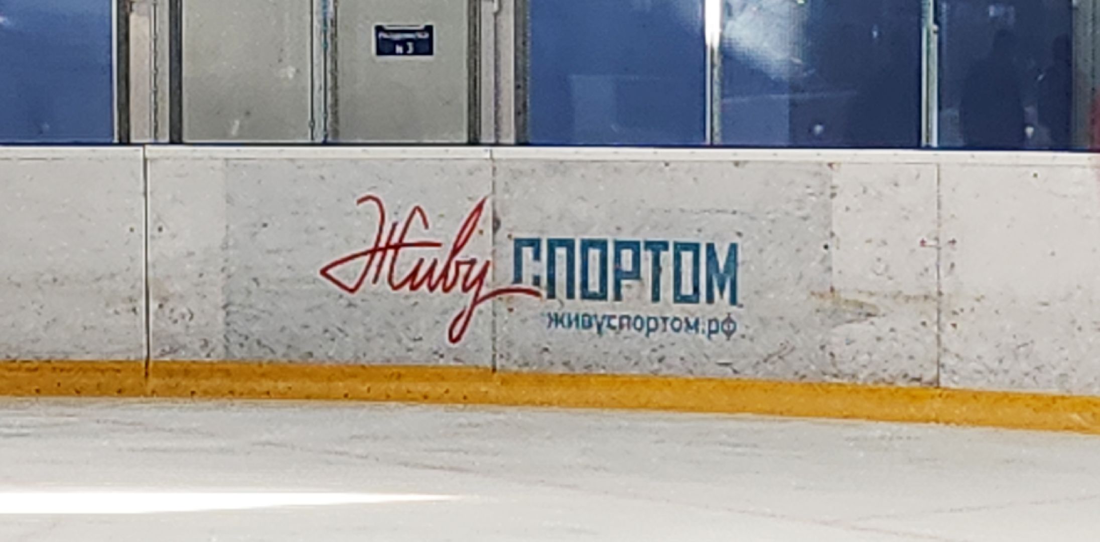 активное долголетие, каток, фигурное катание, электросталь, долголеты, здоровый образ жизни, здоровый выбор, пенсионер, ледовый комбайн,