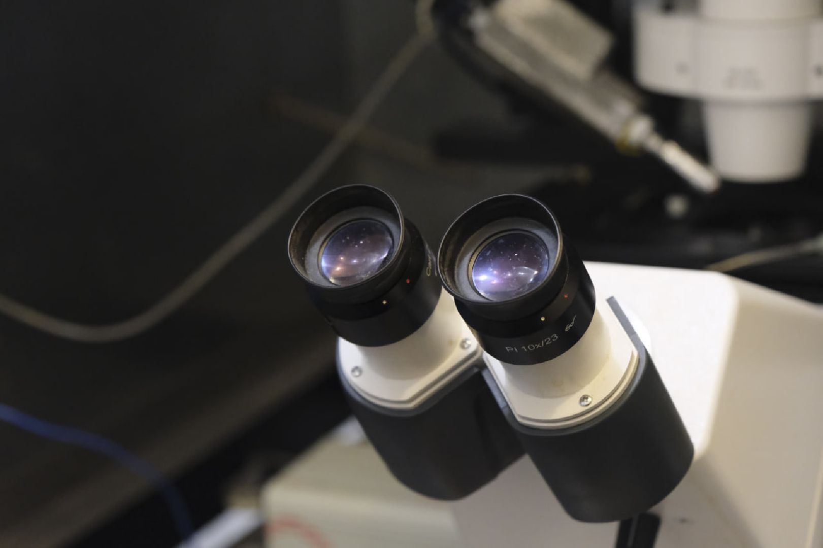 пущино, наука, медицина, премия губернатора,