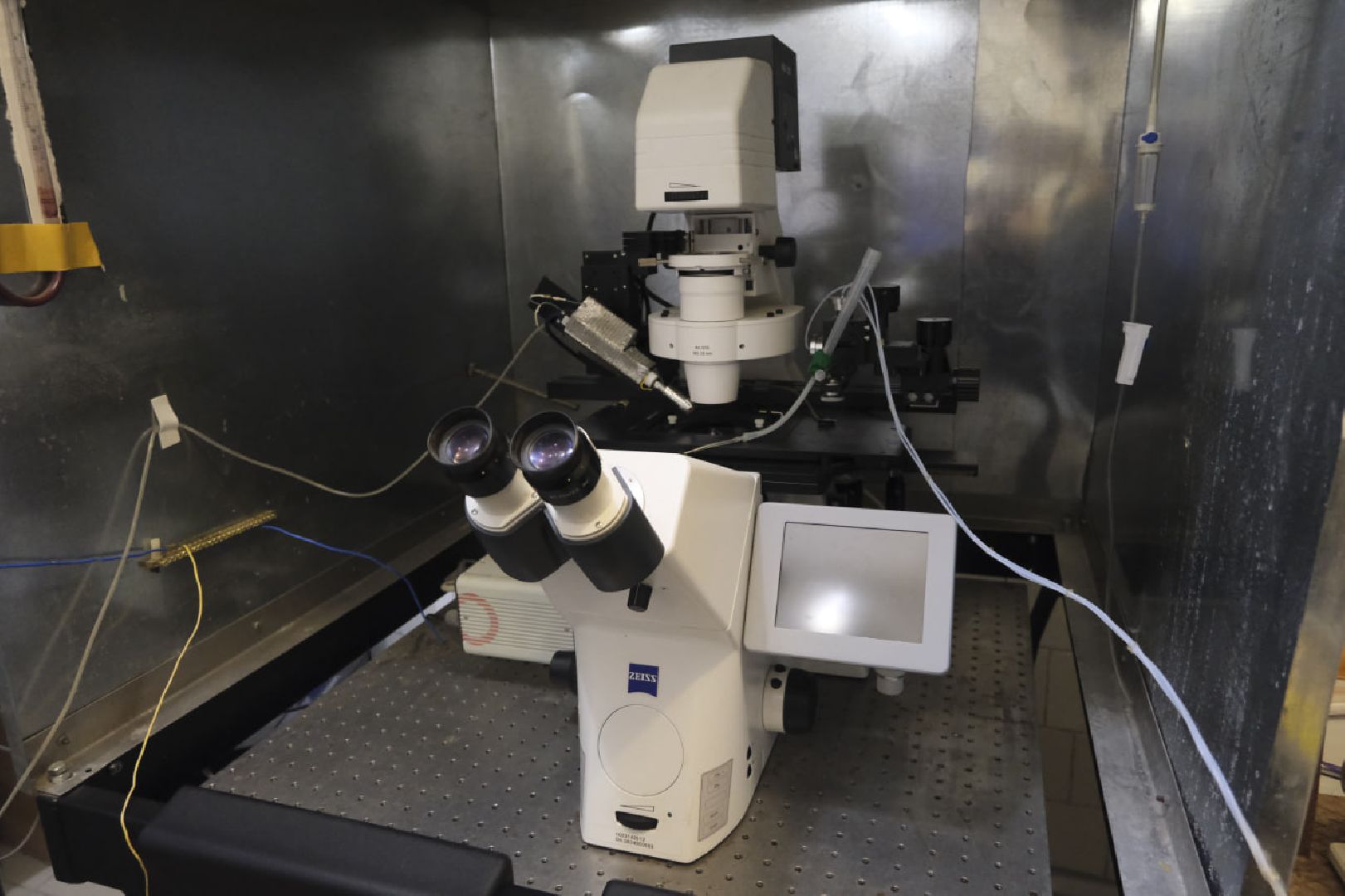 пущино, наука, медицина, премия губернатора,