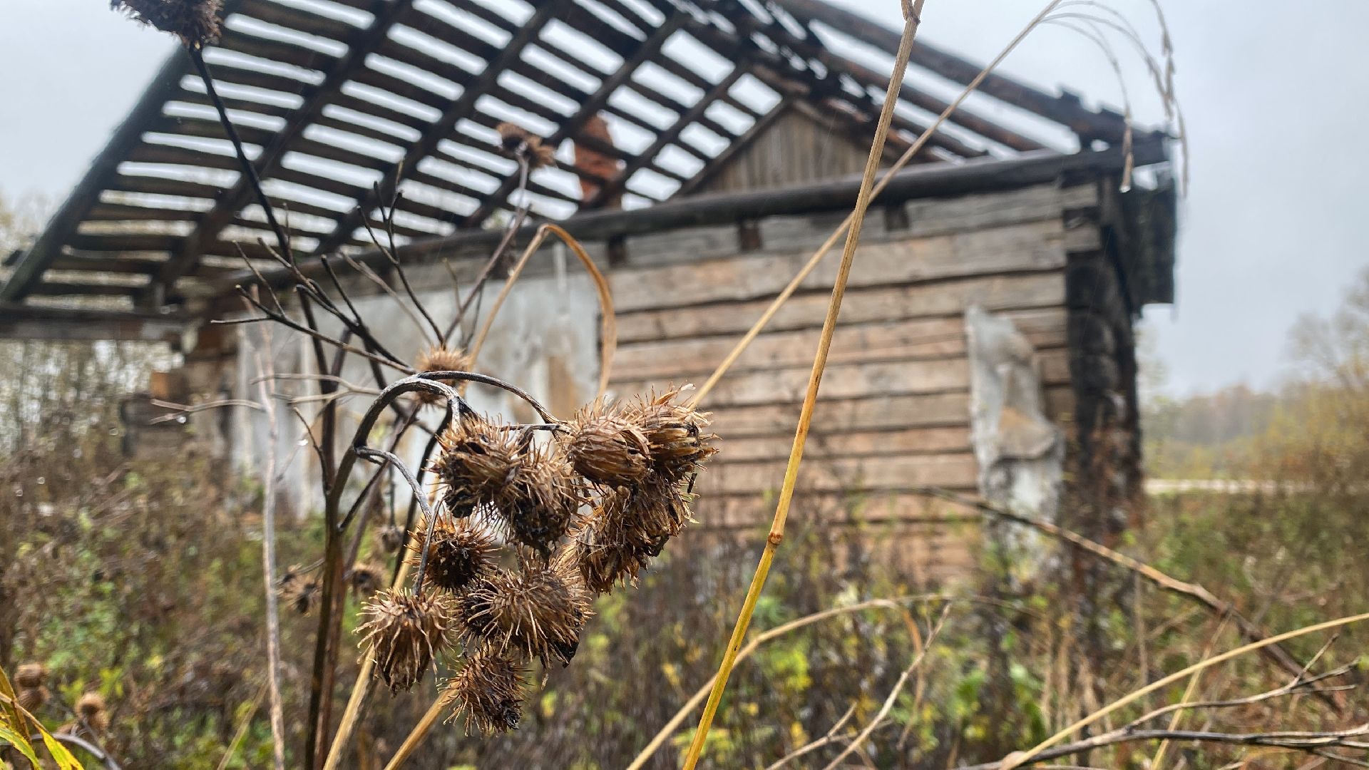 волоколамск, мкд, аварийное жилье, аварийный объект, люди,