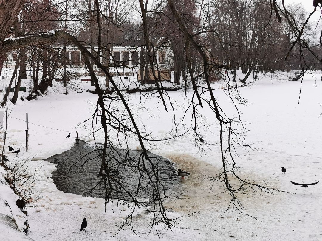 Подольск Города