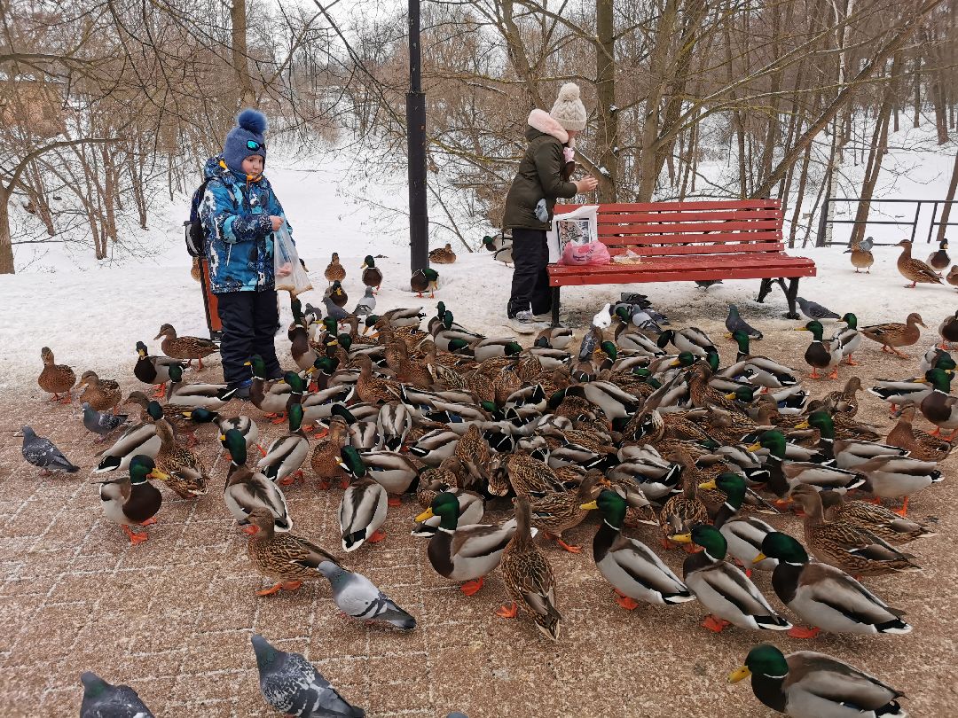 Подольск Города