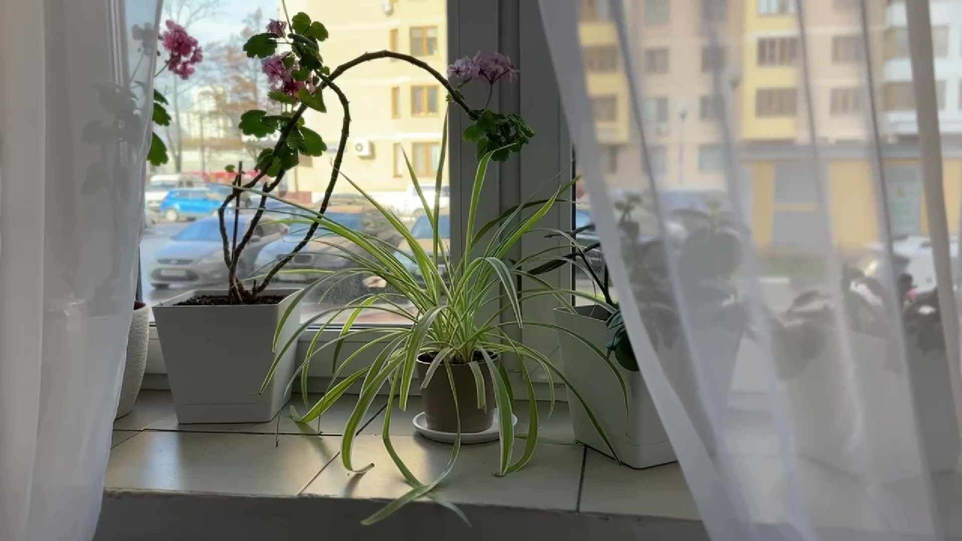 Реутов, благоустойство, конкурс главы, лучший дом, лучший подъезд,