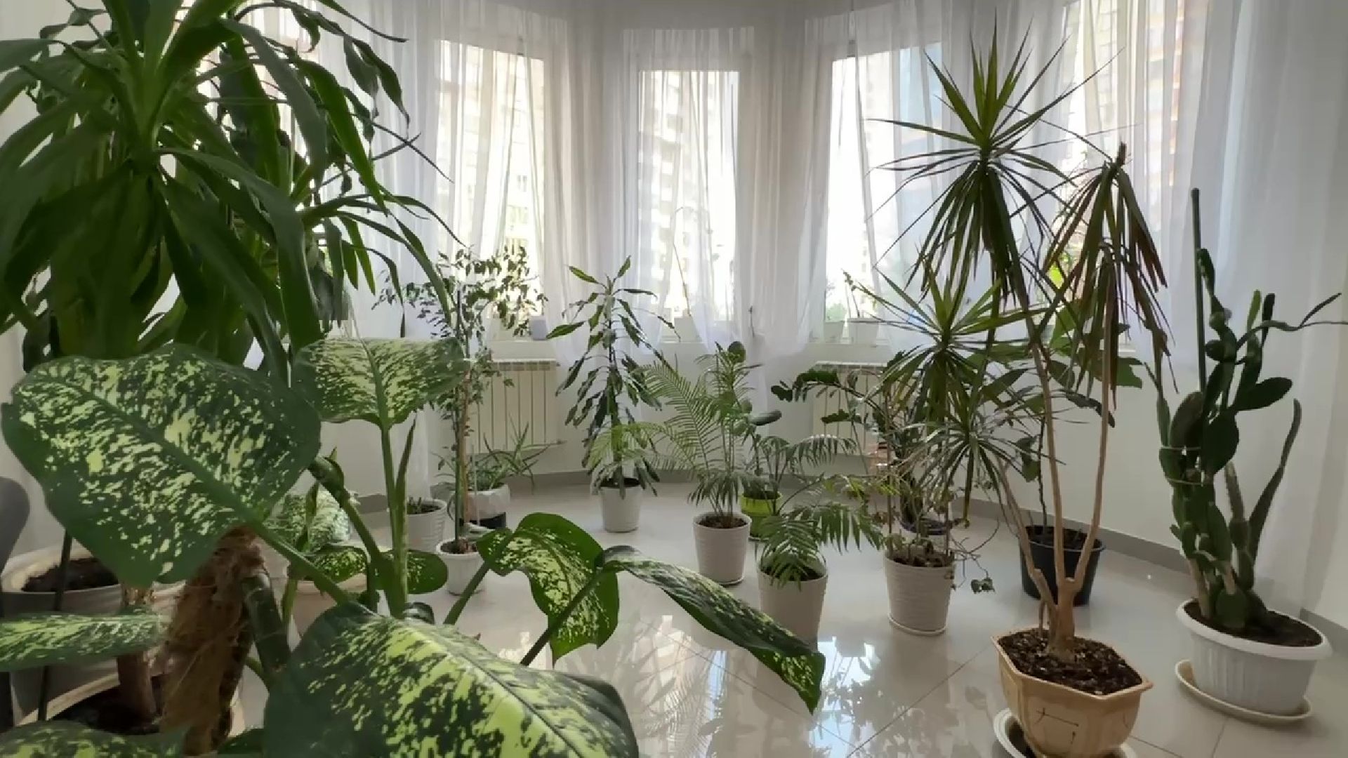 Реутов, благоустойство, конкурс главы, лучший дом, лучший подъезд,