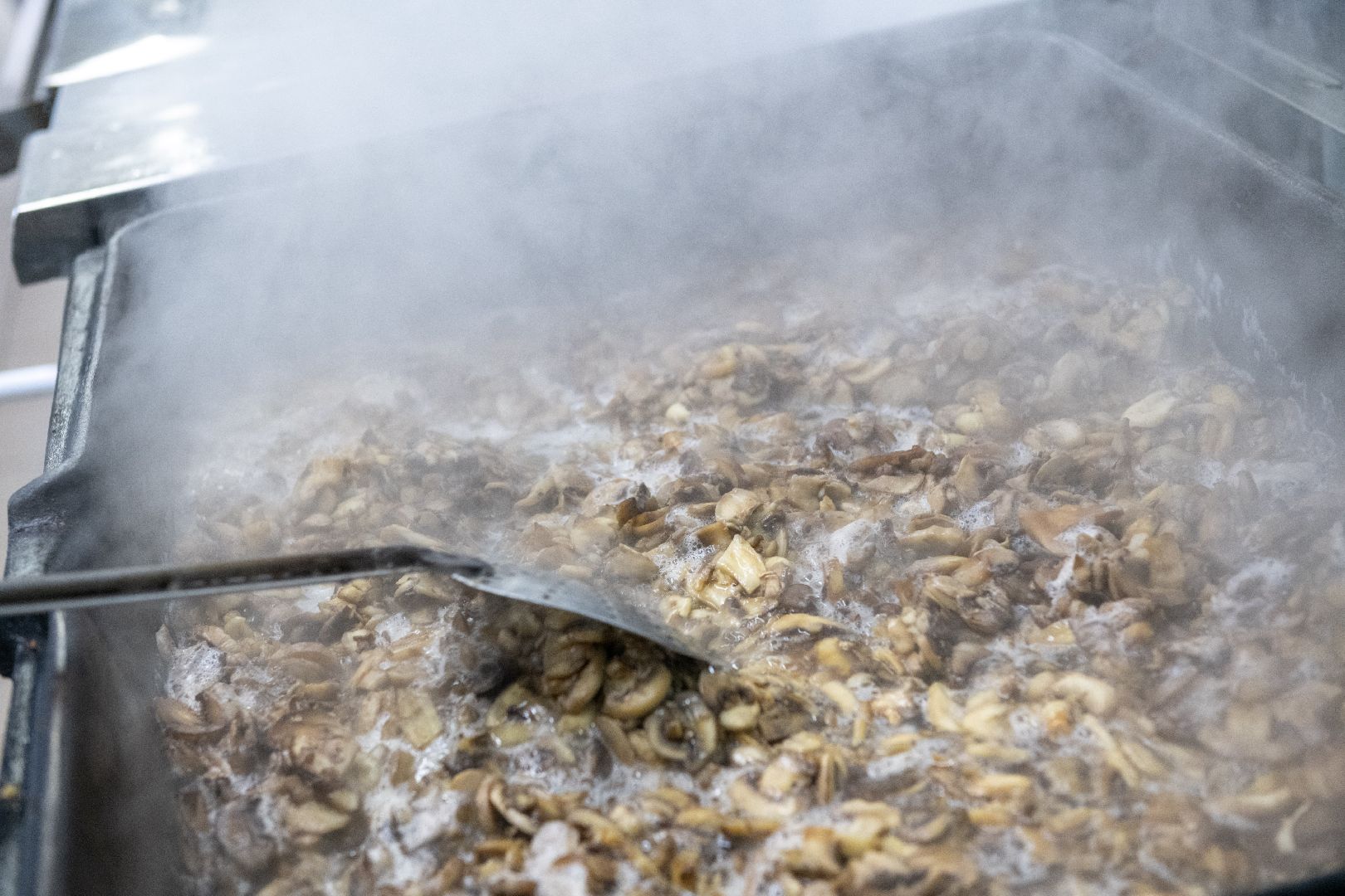 лыткарино, экономика, еда, предприятие, меры поддержки, импортозамещение,