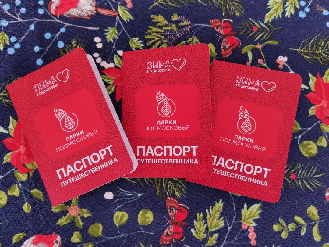 Серпухов Общество