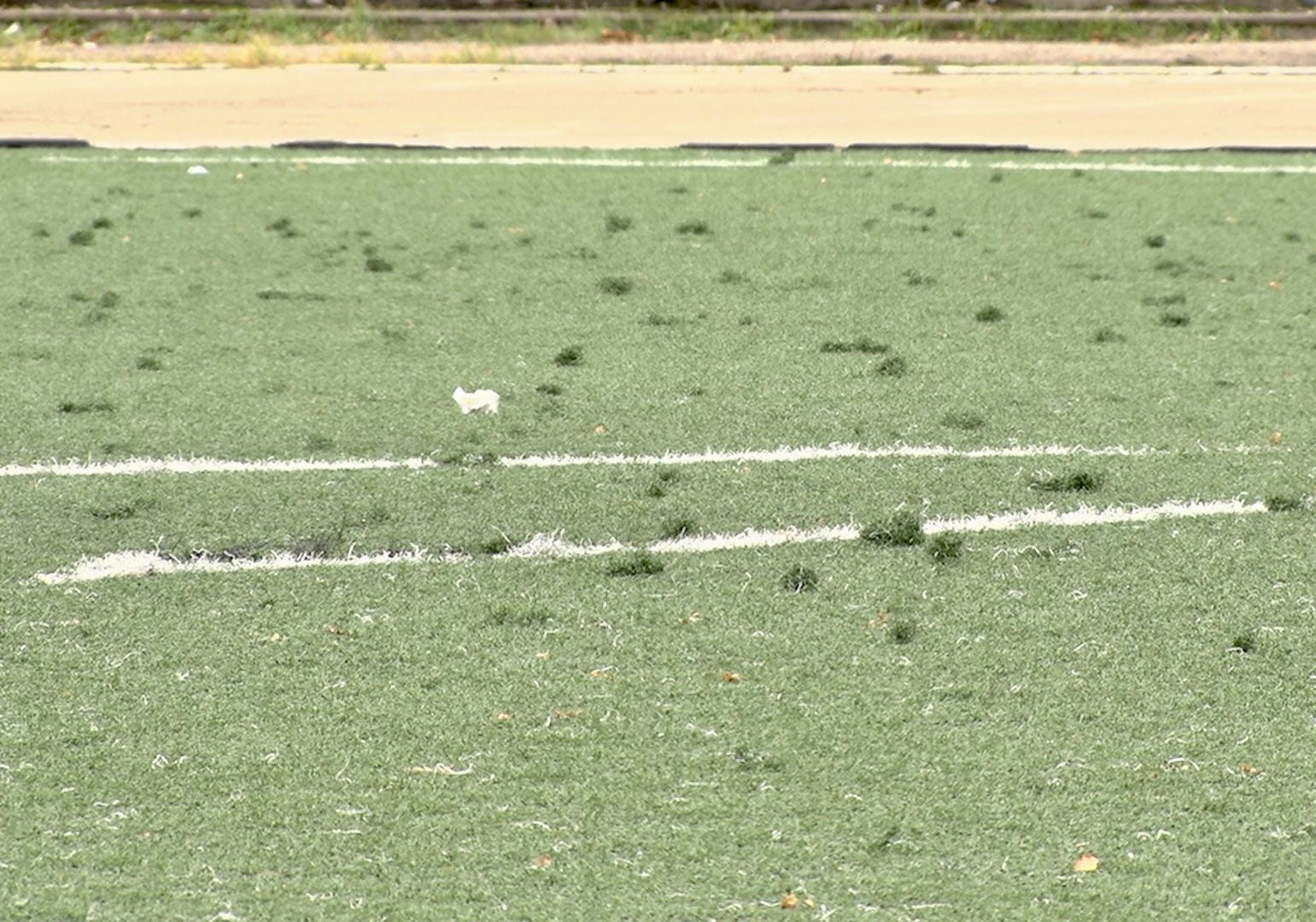 Клин, общество, спорт, строительство, стадионы,