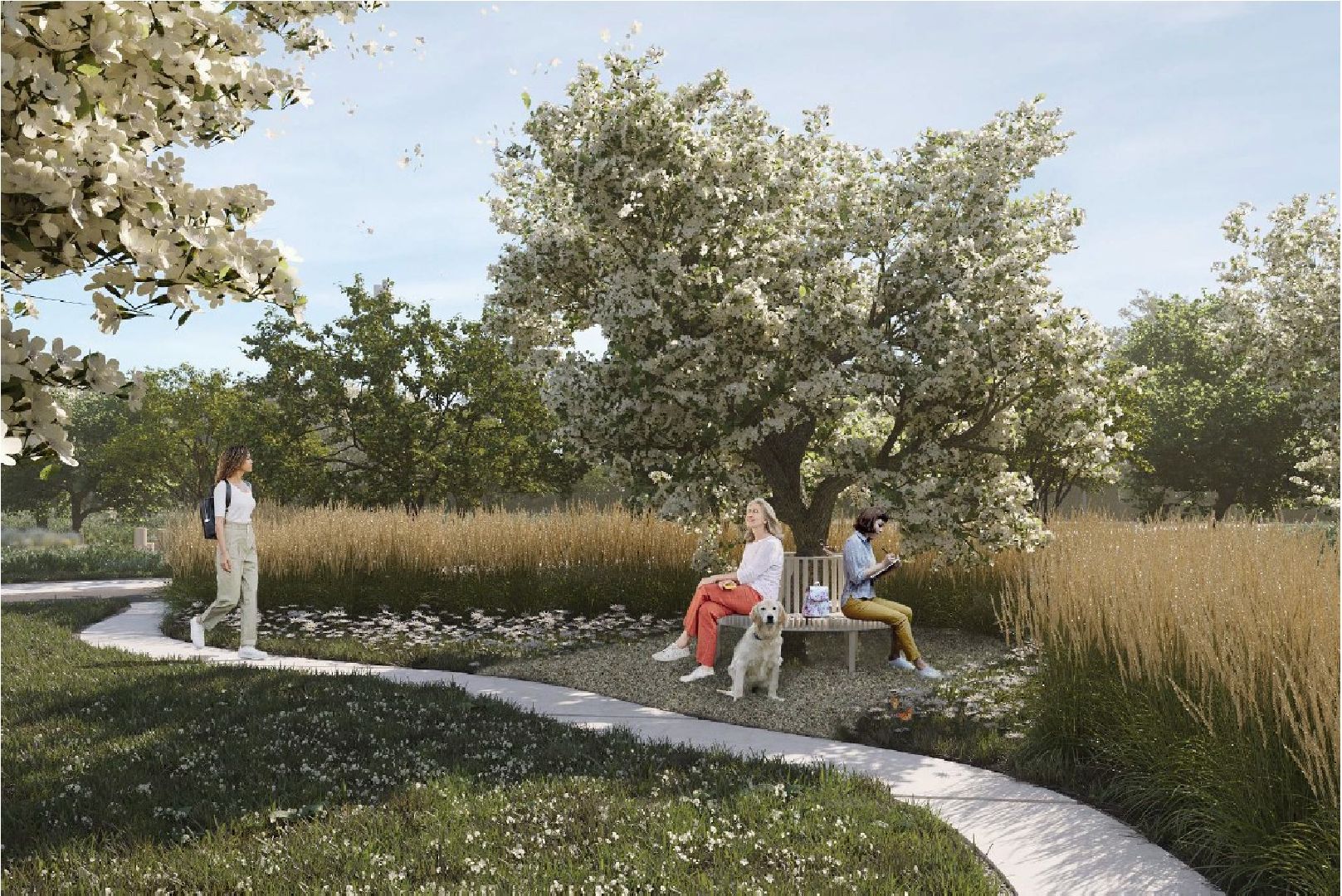 Серебряные Пруды, поселок Успенский, Яблоневый сад, благоустройство,