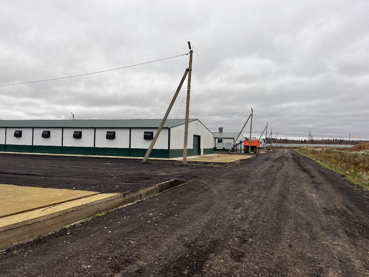 шаховская, птицеводство, куры, производство,