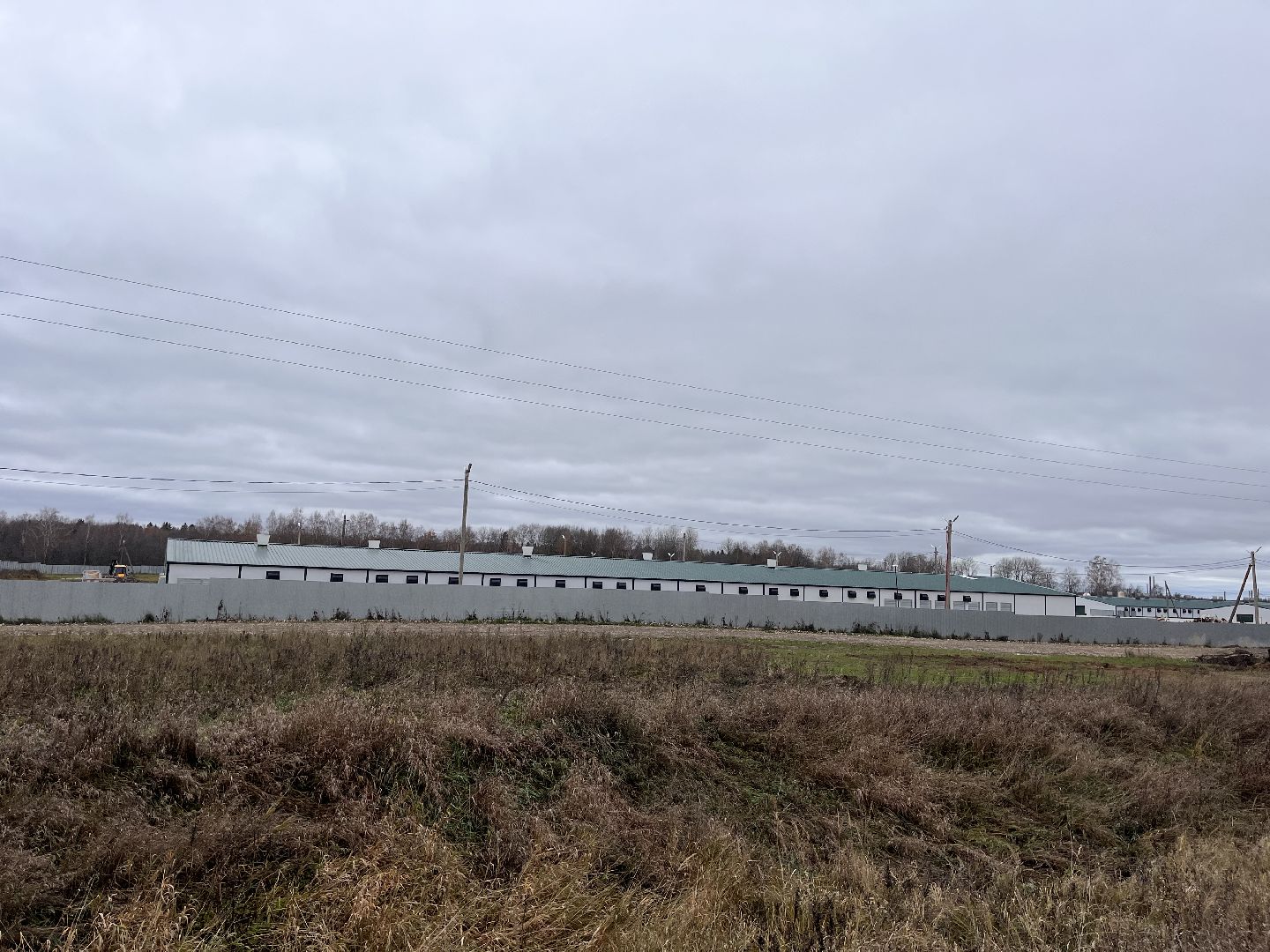 шаховская, птицеводство, куры, производство,