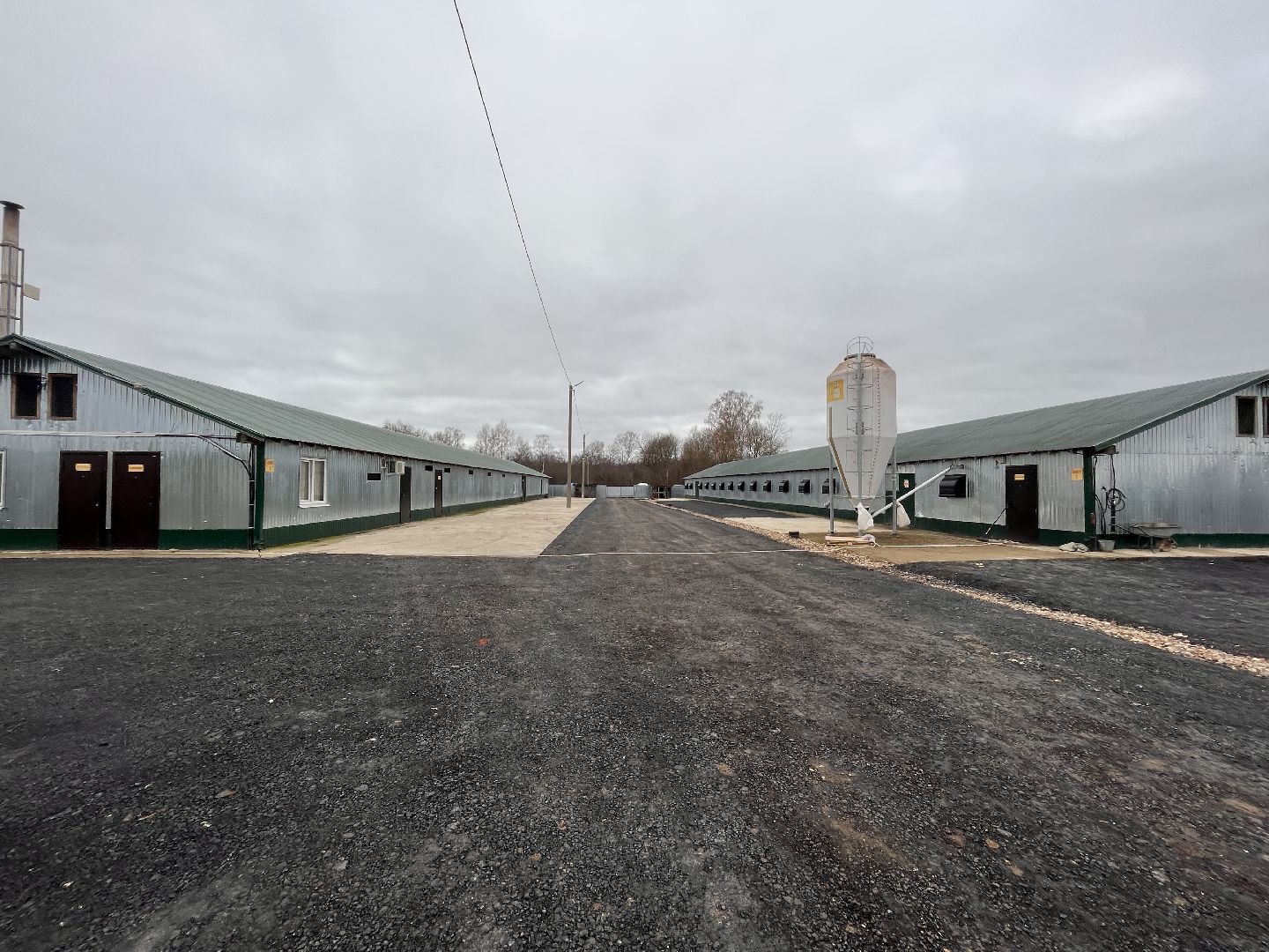 шаховская, птицеводство, куры, производство,