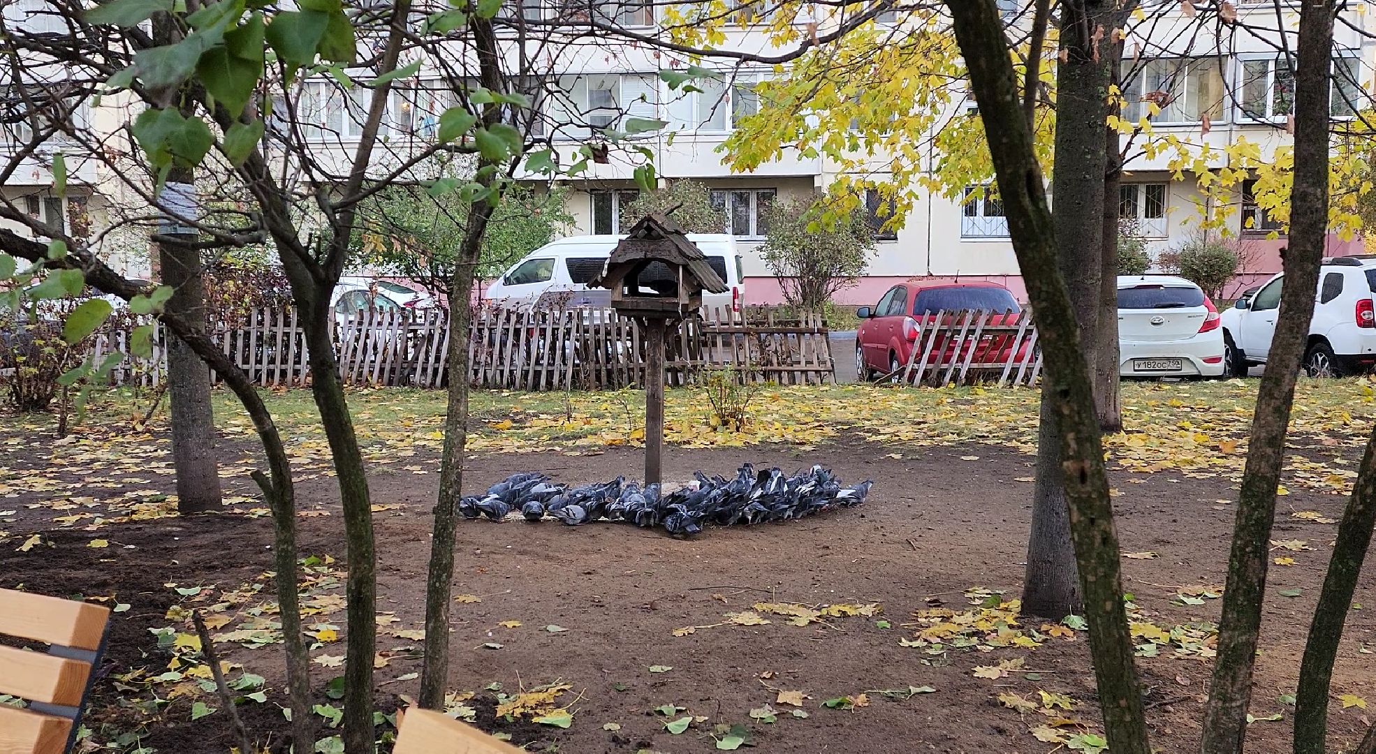 благоустройство, комфортная городская среда,