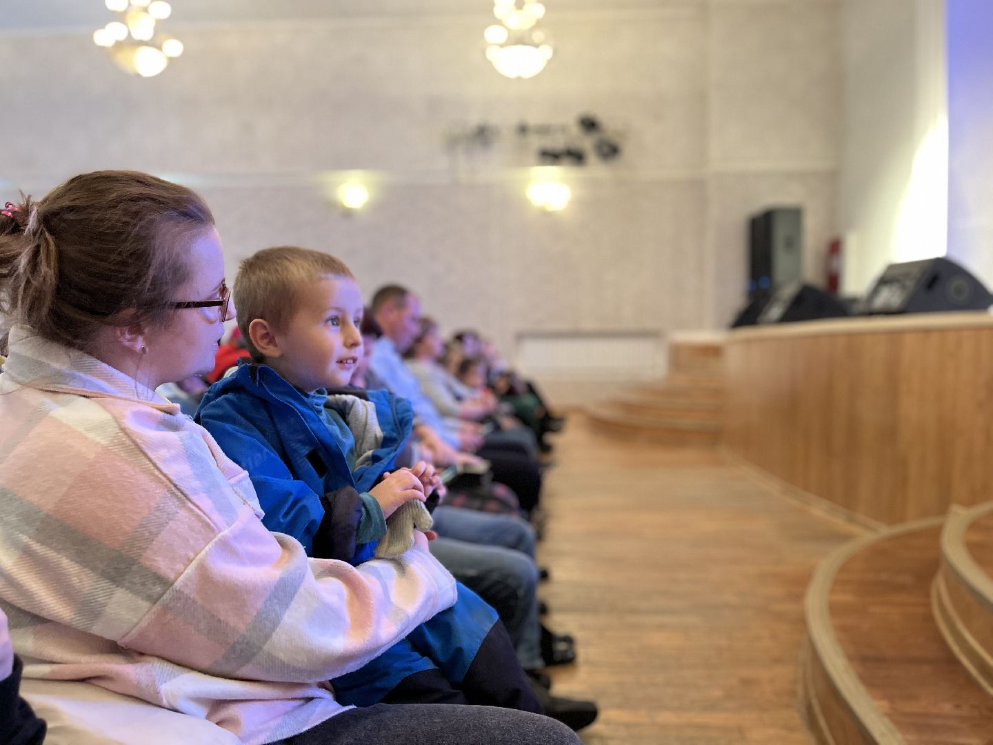 Шаховская, ансамбль, день народного единства, концерт,