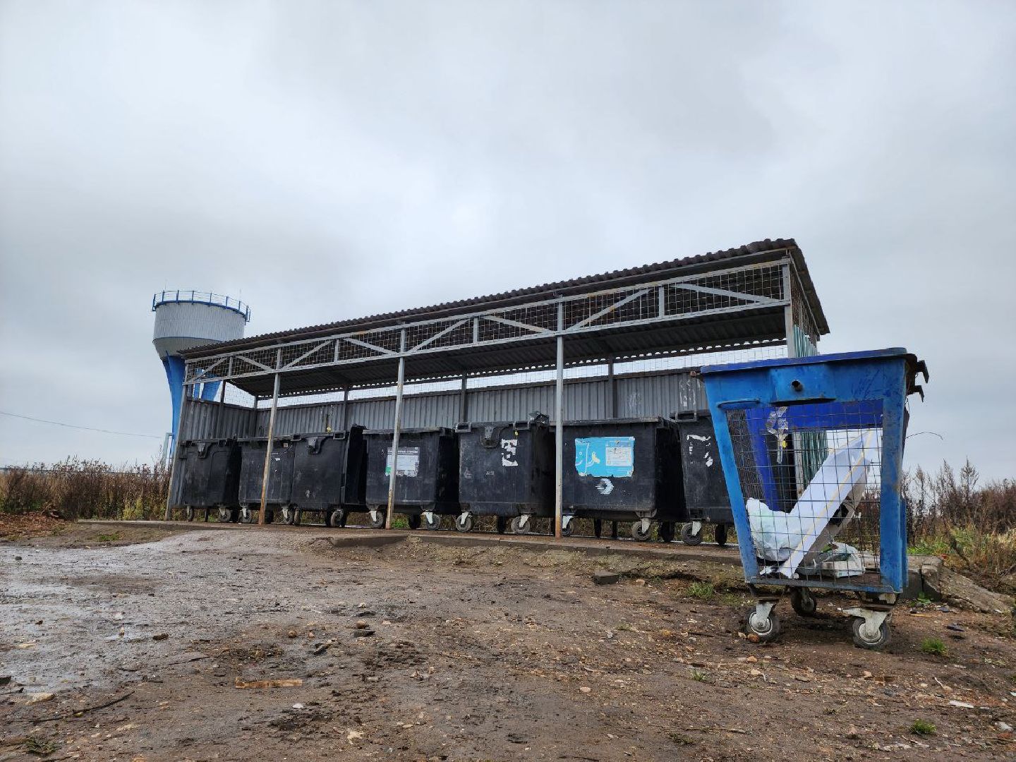 можайск, можайский городской округ, подмосковье, мусор, контейнерная площадка, КГО, ТКО, отходы, баки,