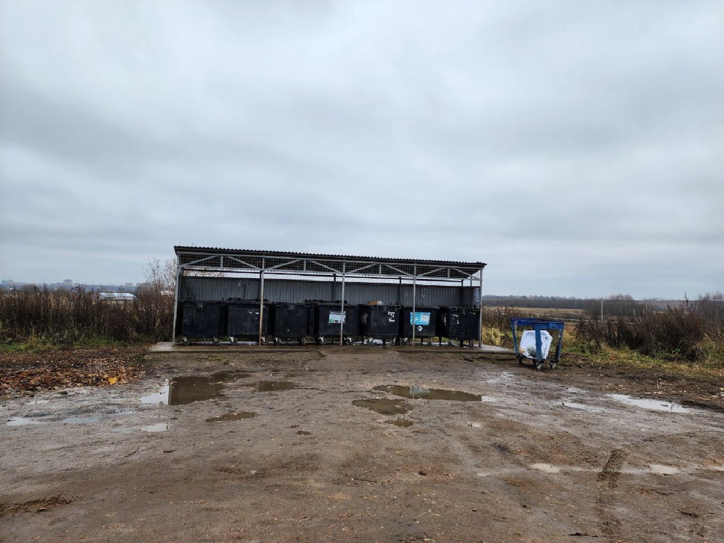 можайск, можайский городской округ, подмосковье, мусор, контейнерная площадка, КГО, ТКО, отходы, баки,