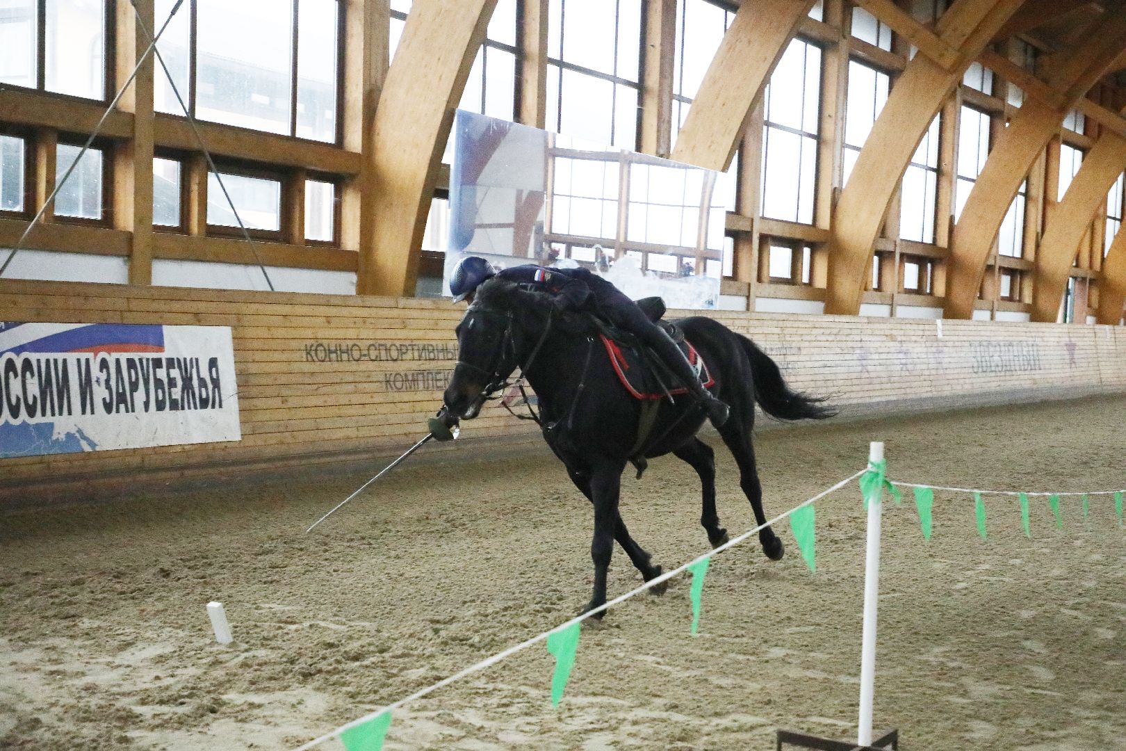 лыткарино, тентпеггинг, судья,