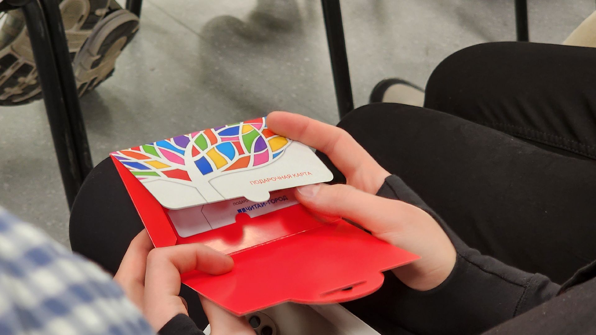 подмгсковье, городской округ пушкинский, ивантеевка, образование, город мечты, Точка притяжения,