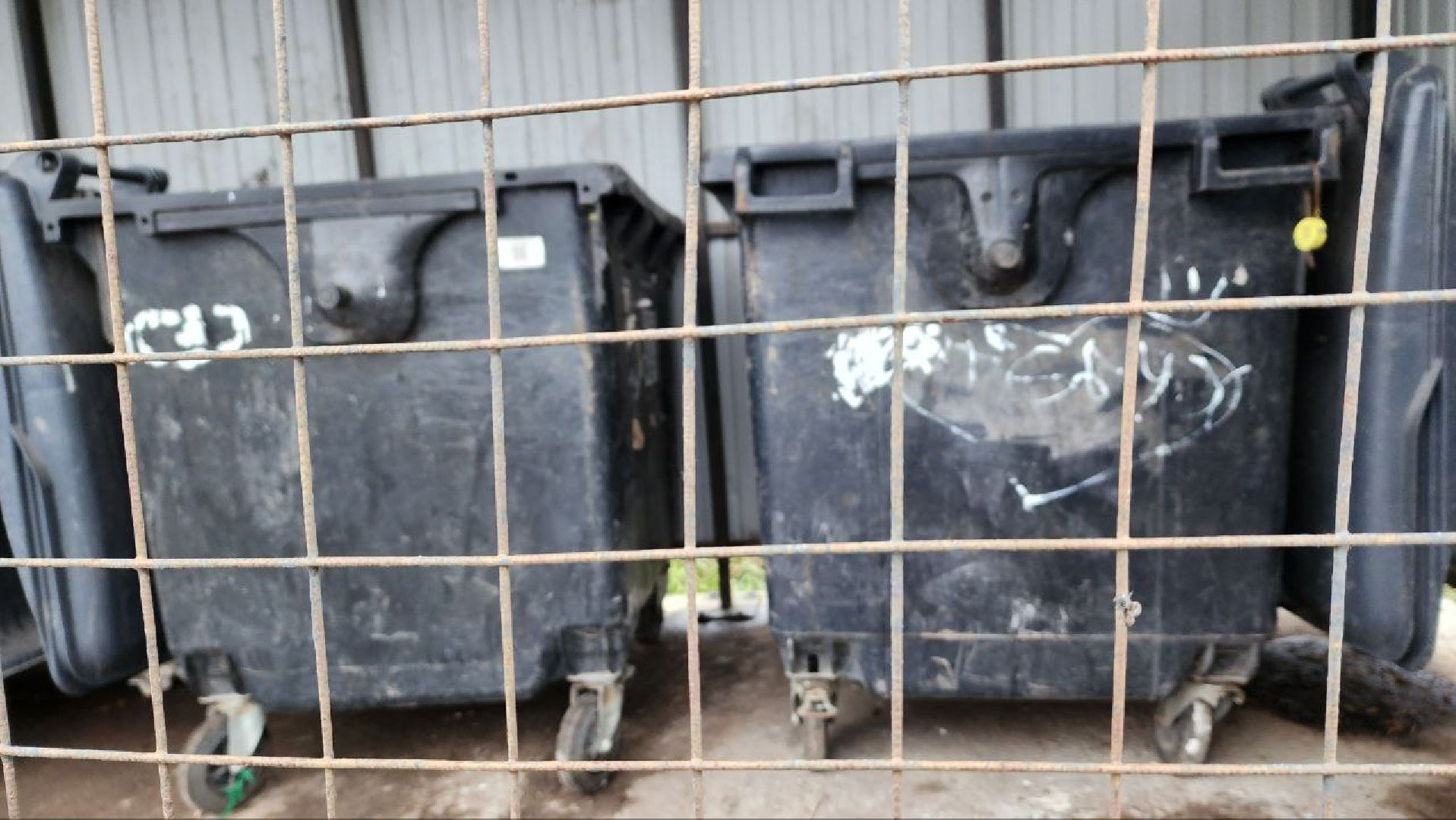 Дмитров, Орудьево, Контейнерная площадка,