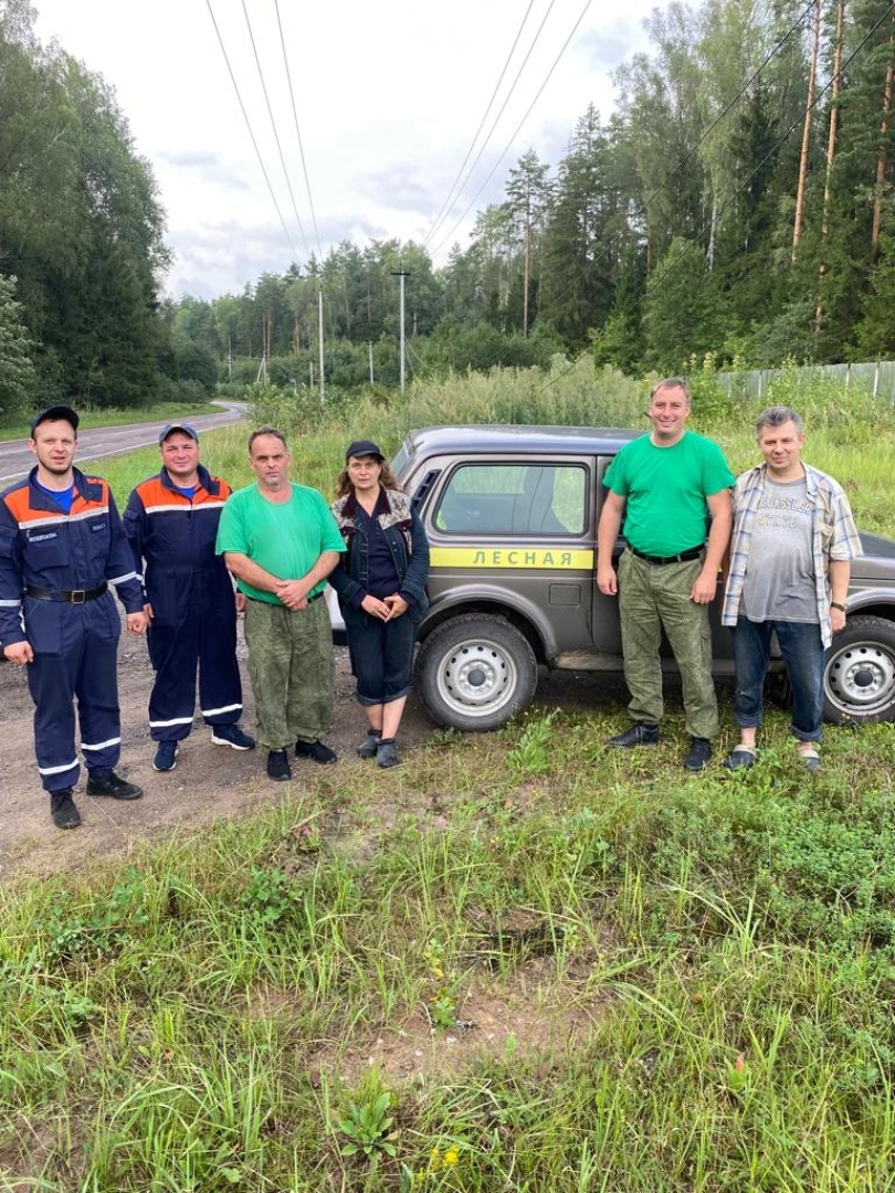 волоколамск, экология, лесничество, мособллес,