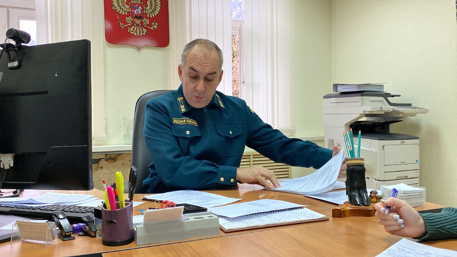 волоколамск, экология, лесничество, мособллес,