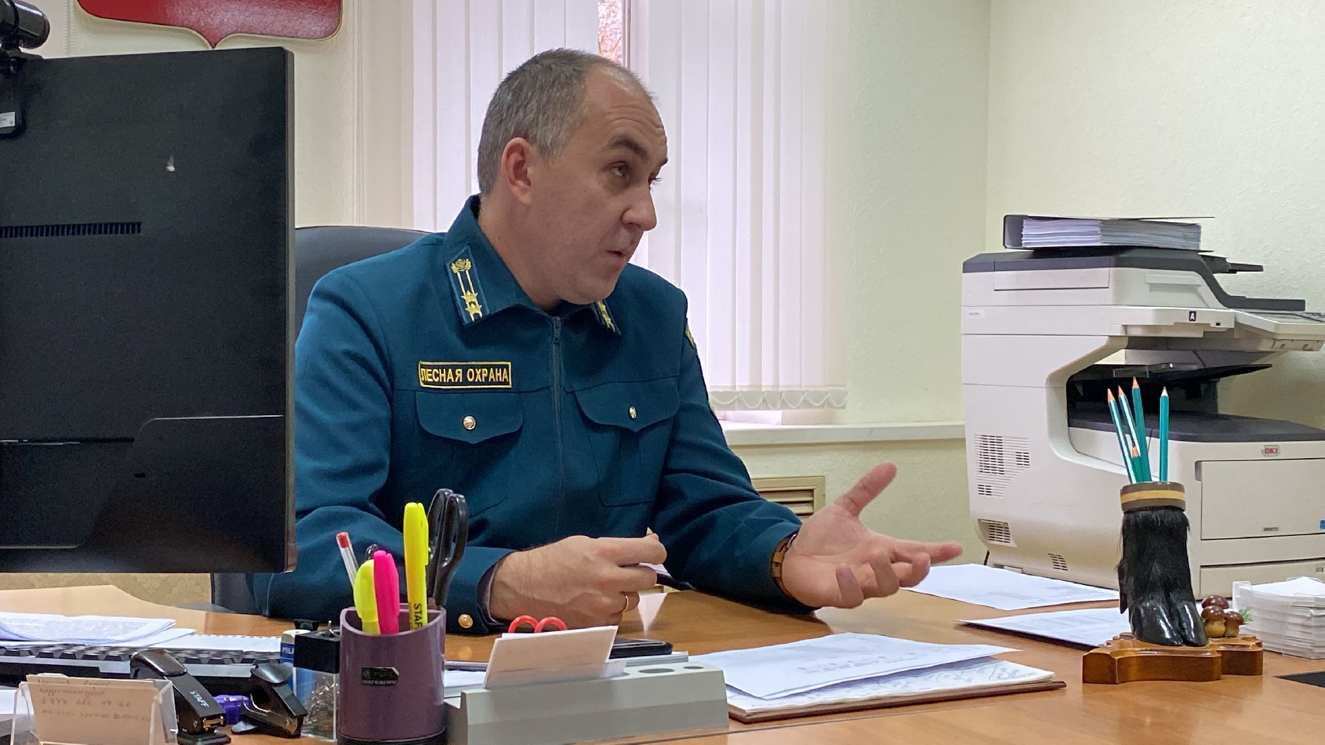 волоколамск, экология, лесничество, мособллес,