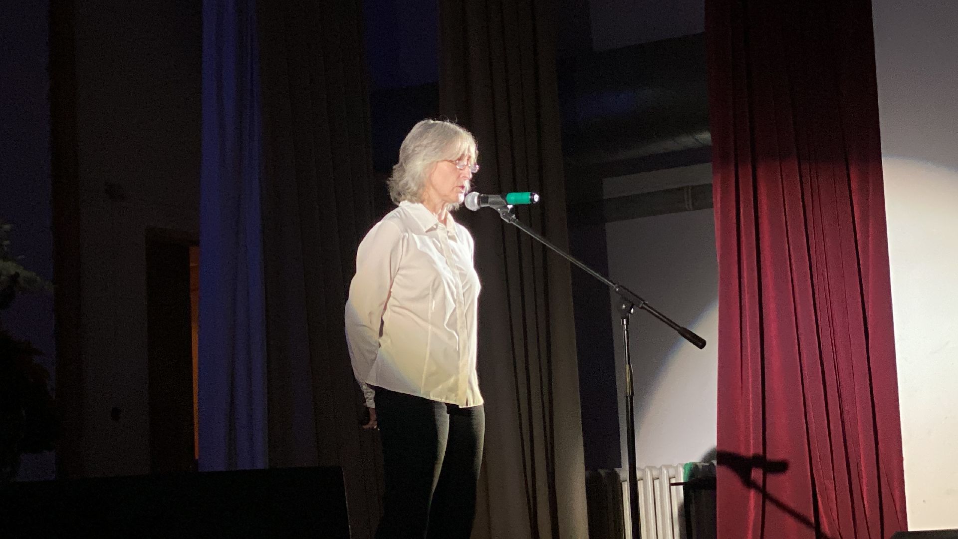 волоколамск, культура, культура подмосковья, дети, выступление, праздник, день народного единства,