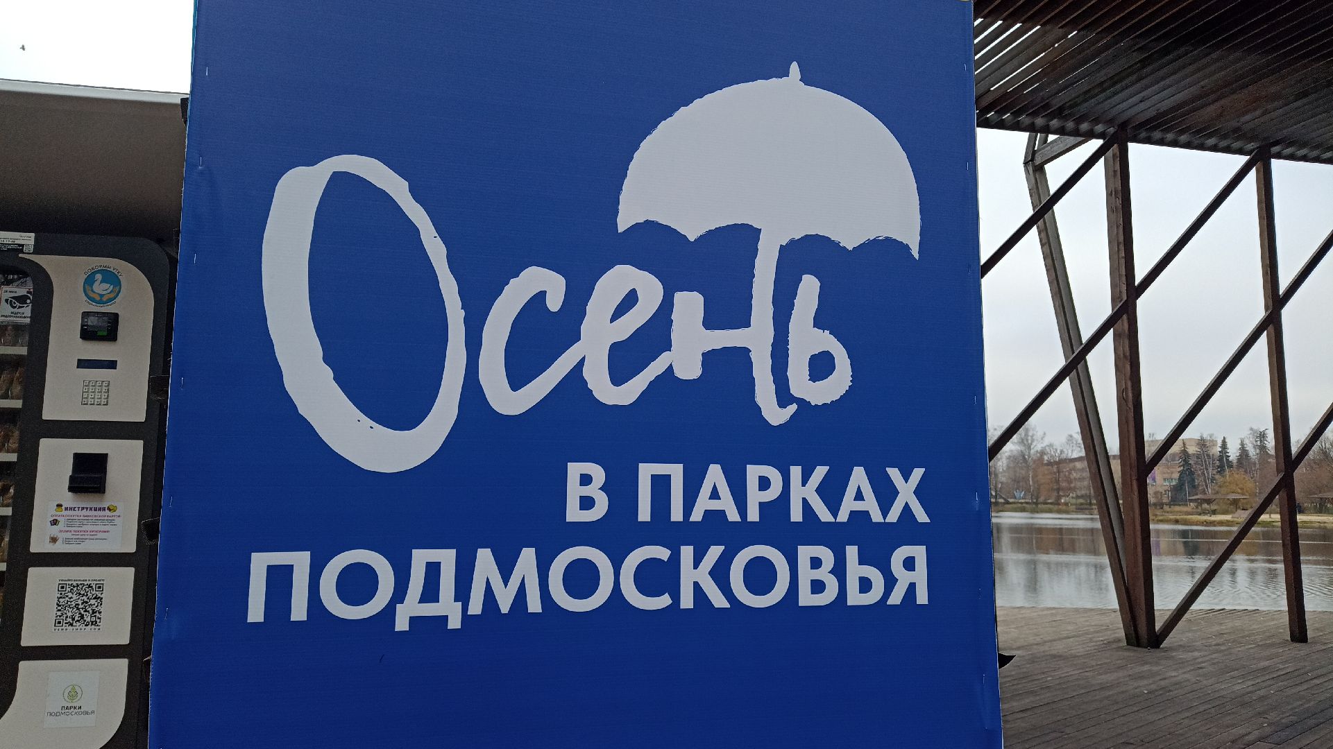 Реутов, День единства, Праздник, Концерт, Выставка, Арт-маркет,