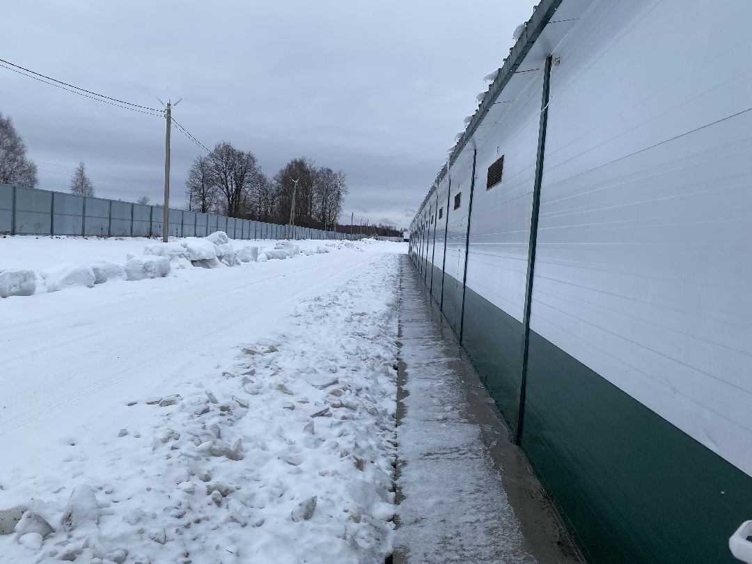 Шаховская, бизнес